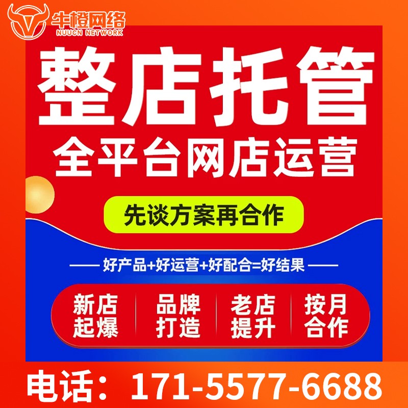 哈尔滨京东代运营